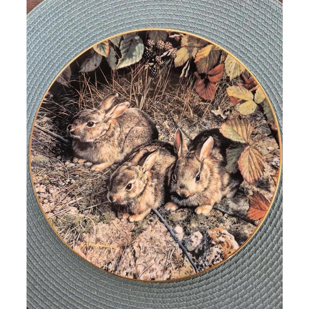 Limited Edition "Shy Explorers"  Numbered Plate by Carl Brenders - 1990